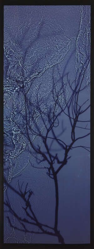 
	
		Susan Derges, 
		British b.1955- 
		 
		River Taw 19 January 1999 (Willow); 
		 
		