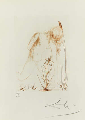 
	
		Salvador Dali, 
		Spanish 1904-1989- 
		 
		Narcisse [Michler & Lopsinger 284], 1968;...