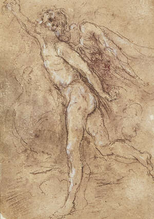 Venetian School, 
		 
		17th century- 
		 
		Study of an Angel; 
		 
		brown chalk heightened with white on laid paper, 27 x 19 cm. 
		 
		 