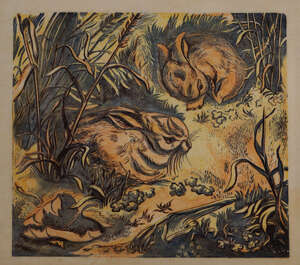 
	
		Gertrude Hermes OBE RA, 
		British 1901-1983- 
		 
		Two resting hares in the wild;...
