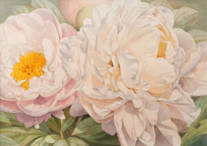 
	
		John Wilkinson, 
		British b.1934- 
		 
		Peonies; 
		 
		watercolour on Saunders...