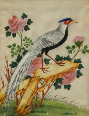 
	
		Two Chinese export paintings of birds, early 19th century, gouache on pith paper, glazed...