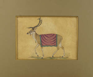 
	
		An Indian miniature painting of a deer standing full length in profile, 20th century,...
