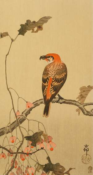 
	
		Ohara Koson, Japanese 1877-1945, Five woodblock prints in colours of birds, c. 1910s,...
