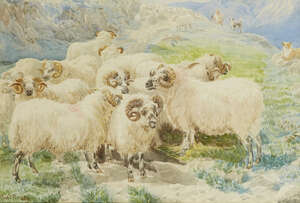 P Basil Bradley, 
British 1842-1904- 
 
Sheep on a craggy outcrop;
 
watercolour, signed,...