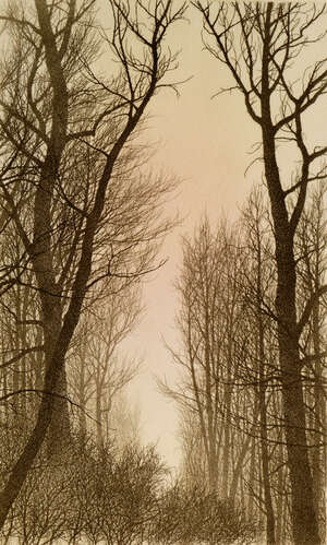 
	
		Franklin Galambos, American b.1944- Winter; etching, signed, dated '85 and inscribed A/P...