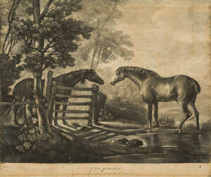 
	
		After George Stubbs ARA, 
		British 1724-1806- 
		 
		Two Horses; 
		 
		mezzotint...
