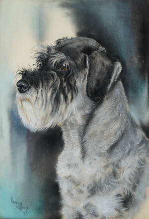 
	
		Nigel Mould DFC, mid-20th century- Mrs. A G Board's Schnauzer 'Delaboarde Thistle';...