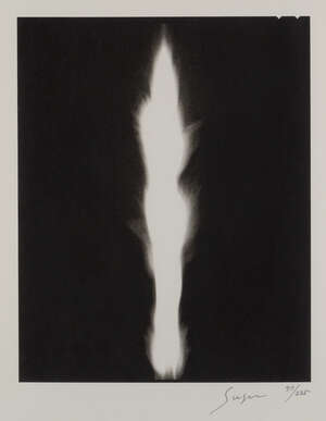
	
		Hiroshi Sugimoto, 
		Japanese b.1946- 
		 
		In Praise of Shadows, 2003; 
		lithograph on...
