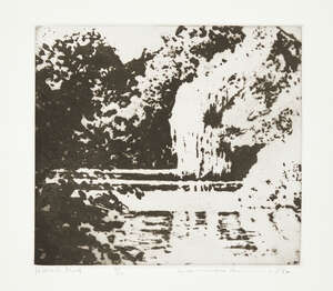 
	
		Norman Ackroyd, 
		British b.1938- 
		 
		Jacksons Pond, 1982; 
		 
		etching with...