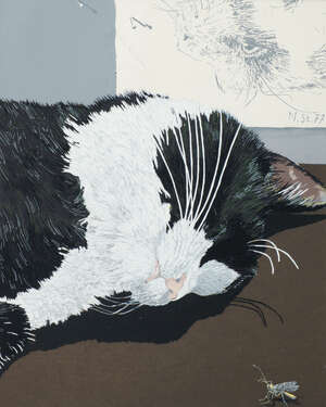 
	
		Nikolaus Stortenbecker, German b.1940- Cat; screenprint in colours, signed with initials...