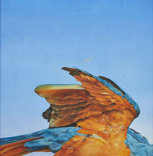 
	
		Elizabeth Butterworth, 
		British b.1949- 
		 
		Blue and gold mackaw, 1973; 
		oil on...
