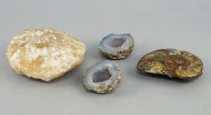 
	
		A collection of fossil and mineral samples to include a boulder form specimen of pale...