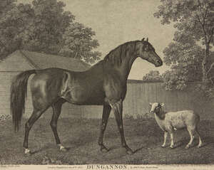
	
		George Townly Stubbs, 
		British 1756-1815- 
		 
		Dungannon, after George Stubbs ARA;...