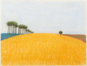 
	
		Pieter Van Der Westhuizen, 
		South African b.1931- 
		Cornfield with Trees, 1987;
		