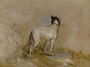 
	
		Circle of Charles Towne, 
		British 1763-1840- 
		 
		Study of a dog in a landscape;...
