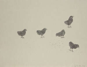 
	
		Kiki Smith, 
		German/American b.1954- 
		 
		Little chicks, 1998; 
		etching on speckle...