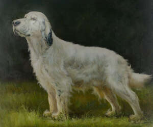 American School, late 20th/early 21st Century- White Setter in profile;  oil on canvas, signed indistinctly, 51 x 61cm (unframed)