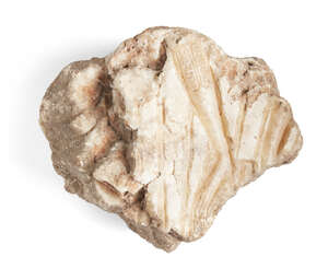 
	
		An Egyptian style alabaster relief fragment, carved with the arms of a worshipper, one...