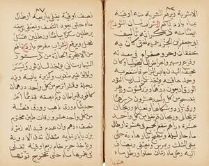 
	
		Abu al-Muna ibn Abi Nasr al-Attar al-Yahudi: Minhaj al-dukkan wa dustur al-ayan fi amal...