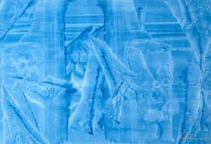 
	
		Rakhee Shah, (India b. 1975) Underwater Life, 2007, acrylic on paper, signed and dated...