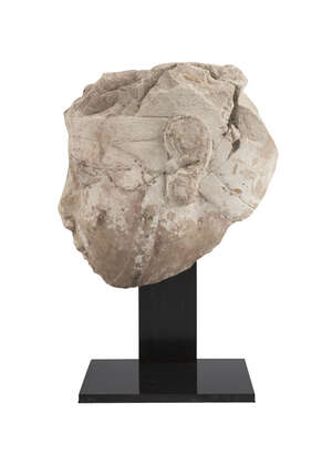 
	
		An Egyptian limestone head fragment, Late Period-Ptolemaic Period, circa 664-30 B.C.,...