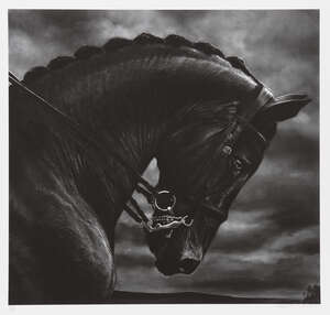 
	
		Robert Longo,
		American b.1953-
		 
		Untitled (Bucephalus), 2017;
		 
		ditone print...