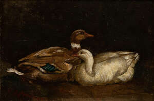 
	
		William Grant Stevenson, 
		 
		British 1849-1919- 
		 
		Rest, Study of ducks;...