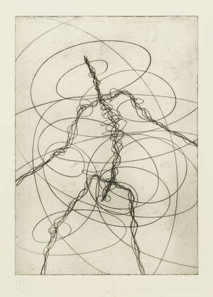 
	
		Sir Antony Gormley OBE,
		British b.1950-
		 
		Feeling Material, 2006;
		 
		etching...