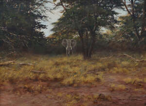 
	
		George Majewicz, German 1897-1973- Elephant; oil on canvas, signed, sight 47.7 x 67cm...