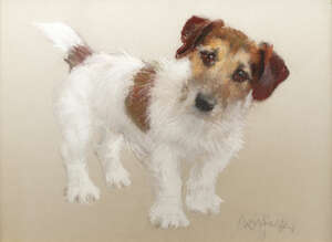 Neil Forster, 
		British 1939-2016- 
		 
		Studies of Jack Russell terriers; 
		 
		five chalk pastels/charcoals on buff and grey coloured paper, each s