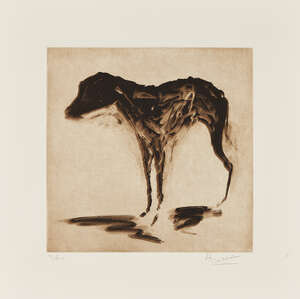 
	
		Rachel Howard, 
		British b.1969- 
		 
		Black Dog, 2015; 
		 
		etching in colours on...