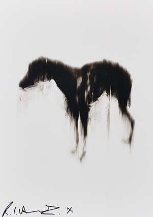 
	
		Rachel Howard, 
		British b.1969- 
		 
		Black Dog, 2016; 
		 
		offset lithograph on...
