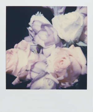 
	
		Nobuyoshi Araki, 
		Japanese b.1940-
		 
		Untitled Polaroid (roses);
		 
		unique...