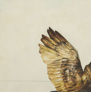 
	
		Elizabeth Butterworth, 
		British b.1949- 
		 
		Eagle's wing; 
		 
		watercolour,...