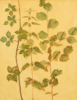 
	
		Carolyn Sergeant, 
		British 1937-2018- 
		 
		Bramble, Nettle and Hazel; 
		 
		oil...
