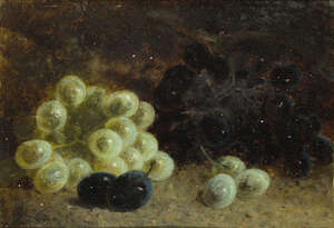 
	
		C. Shailor Bromley, 
		British fl.1879-1885-
		 
		Grapes on a mossy bank, 1887;
		 
		