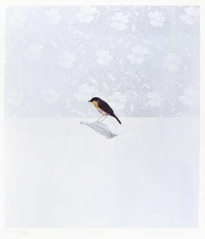 
	
		Charming Baker, 
		British b.1964- 
		 
		Bird III, 2012/13; 
		 
		screenprint in...