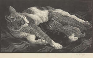 
	
		Charles Frederick Tunnicliffe RA,
		British 1901-1979-
		 
		A Cat with Kittens,...