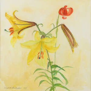 
	
		Dame Elizabeth Blackadder DBE RA RSA RSW, 
		Scottish 19312021 - 
		 
		Lilies, 1983;...