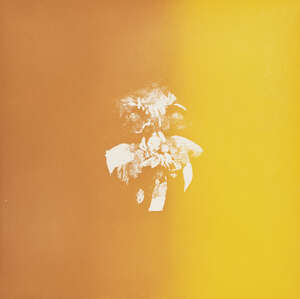 
	
		Louis le Brocquy,
		Irish 1916-2012-
		 
		Mycenean Gold Mask, 1974;
		 
		aquatint in...