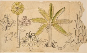 A fragmentary preparatory drawing : plants, peacock, monkeys,&nbsp;India, 19th century,&nbsp;
Pen, ink and...