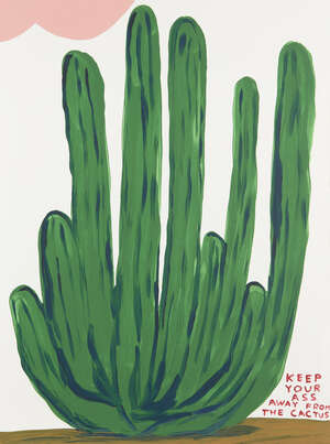 
	
		David Shrigley OBE,
		British b.1968-
		 
		Keep Your Ass Away From the Cactus,...
