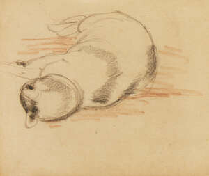 
	
		James Arden Grant RE PPS, 
		British 1887-1974-
		 
		Study of a resting cat;
		 
		
