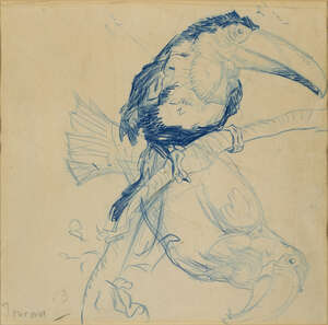 
	
		Sir Frank Brangwyn RA RWS PRBA, 
		British 1867-1956 - 
		 
		Toucan; 
		 
		