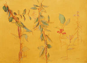 
	
		Carolyn Sergeant, 
		British 1937-2018- 
		 
		Honeysuckle, Spindle and Michaelmas...