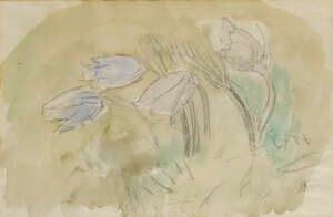 
	
		Aurél Bernáth,  
		 
		Hungarian 1895-1982- 
		 
		 
		Tulips;
		 
		 
		pencil...
