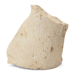 
	
		An Egyptian style marble fragment of an Amarna style princess wearing close-fitting...