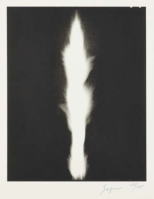 
	
		Hiroshi Sugimoto, 
		Japanese b.1948-
		 
		In Praise of Shadows, 2003;
		 
		lithograph...