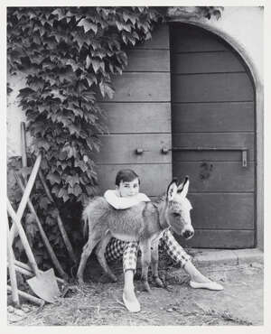 
	
		After Norman Parkinson CBE, 
		British 1912-1990-
		 
		Audrey Hepburn with Donkey,...